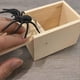 thumbnail image 5 of Rubber Spiders Prank Wooden Box Handcrafted Surprise Wooden Box Funny Interative Gag Present for Friend Family, 5 of 5