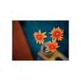 thumbnail image 2 of Frontline 14x12 White Modern Wood Framed Museum Art Print Titled - Orange Mums, 2 of 4