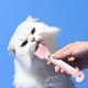 thumbnail image 5 of Cuchara dispensadora de premios para gatos Pack de 2 | Cuchara para alimentos blandos y snacks húmedos | Herramienta de alimentación de fácil dispensación, sin BPA, limpieza rápida | Accesorio para, 5 of 6