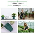 thumbnail image 5 of 4 Pcs 6 inch Plastic Planters with Multiple Drainage Holes and Tray - Plant Pots for All Home Garden Flowers Succulents, Matte Black, 5 of 6