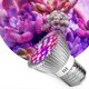 thumbnail image 1 of Led Grow Light Bulb Full Spectrum Plant Light 100w Plant Lamp, E27 Grow Light For Indoor Plant, Vegetables, Flower And Seed, Led Plant Bulb For Hydro, 1 of 3