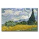 thumbnail image 1 of Cuadro Canvas Listo para Colgar Pixtreats 50X75 cm, 1 of 4