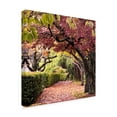 thumbnail image 2 of Trademark Fine Art 'Arch of Trees' Canvas Art by Colby Chester, 2 of 4