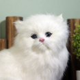 thumbnail image 4 of Interactive Companion Silver Cat with White Mitts, 4 of 5
