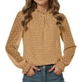 thumbnail image 5 of Wangmeiwg Elegant Girls Flocked Mesh Ruffle Blouse Long Sleeve Shirt With Elastic Stand Collar Tops For Teenage Party Dress 9-10 Years Brown, 5 of 5