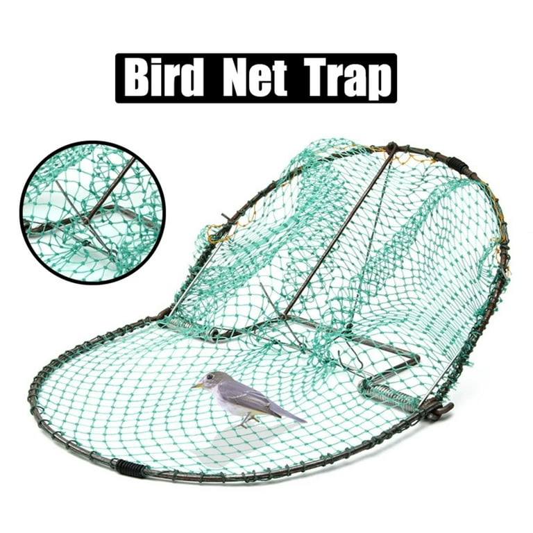 2016 Trap Bird $4.75 USD white2tea