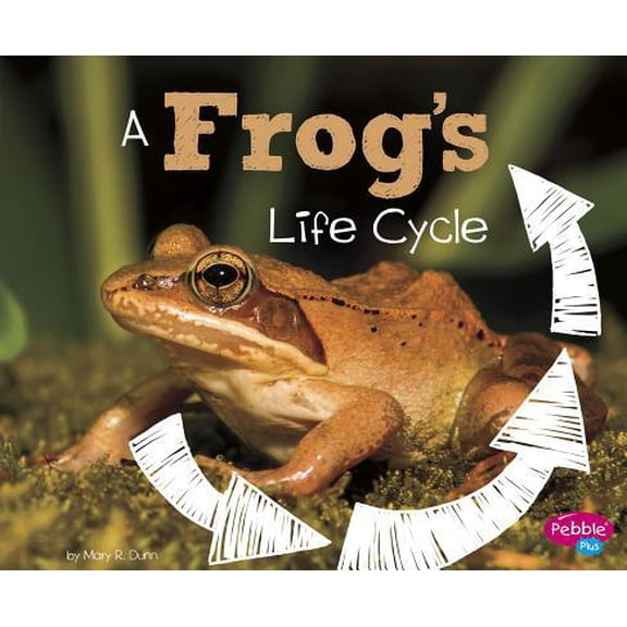 Pre-Owned A Frog's Life Cycle (Paperback) 1515770583 9781515770589