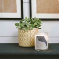 thumbnail image 3 of Main + Mesa Lidded Glass Candle, BlackBerry Santal, 3 of 6