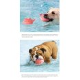 thumbnail image 3 of Bañera flotante amarilla - Juguete duradero para piscina para perros - Accesorios de natación para perros Rojo Verde MX-0129744FYD, 3 of 5
