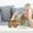 K, variant on Fasiaou Wooden English Letter Savings Can Transparent Glass Savings Can/house/A Gift
