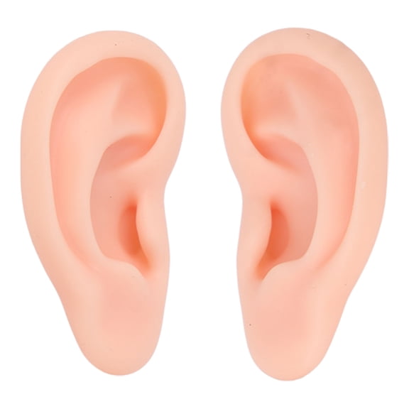 Silicone Ear Model, Convenient Practice Experience Reusable Artificial Ear Model For Ear Teaching Light Skin Color,Medium Skin Color,Deep Skin Color