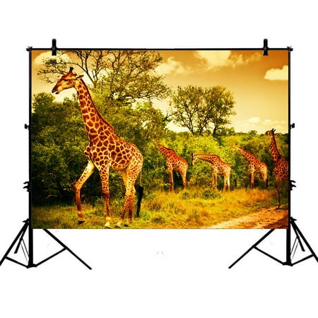 PHFZK 7x5ft Wildlife African Safari Backdrops, Giraffe and Animals Art Wild Jungle Desert Themed Orange Brown Green Photography Backdrops Polyester Photo Background Studio (Best Wildlife Photography Locations)
