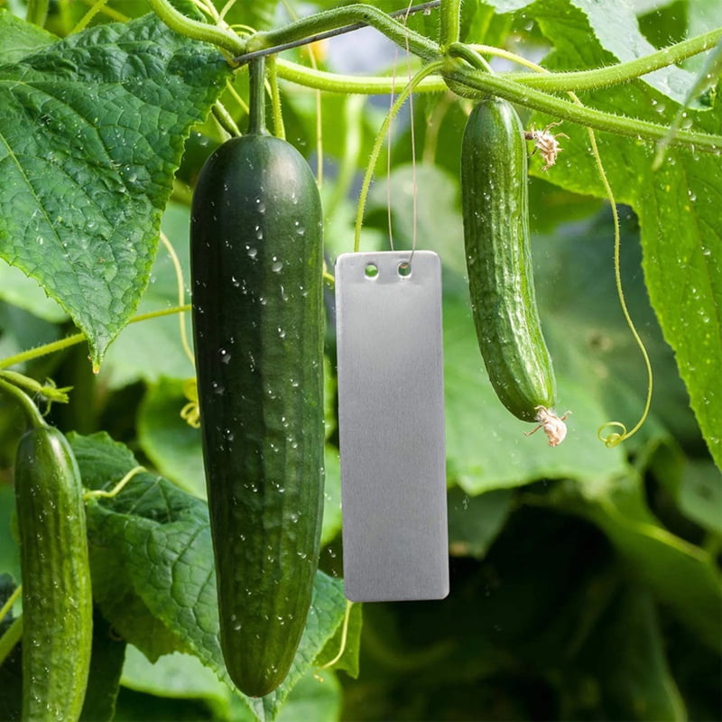 Aluminum Plant Tags Double-Sided Write on Metal Foil Tags Metal Plant Labels Solid Stamping Tags for Marking Trees Plant