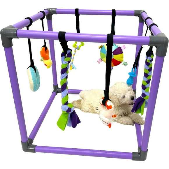 19.5"x19.5"x19.5" Puppy Play Studio for Small Dogs with 8 Hanging Toys,Jungle Playground with Interactive,Fun Enrichment Toys to Keep Them Busy
