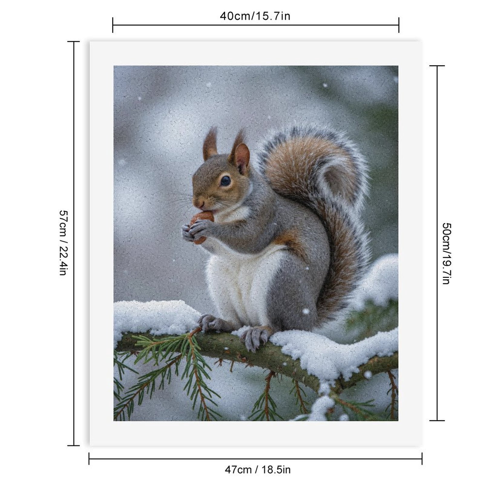 Paint by Numbers Kit for Adults, Squirrel Winter Snowy Branch Acorn Paint by Numbers, Easy Paint by Numbers Kit for Adults Beginner, DIY Adult Paint by Number Kits on Canvas, Home Decor