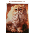thumbnail image 5 of Evershine - Kit de bordado de diamantes con diseño de gato 5D, para manualidades, con diseño completo de animales, para punto de cruz, diseño de mosaico de diamantes de imitación, para decoración del, 5 of 5