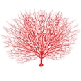 thumbnail image 1 of Plantas artificiales de plástico con ramas de coral realistas y flores falsas. Rojo (sin base), 1 of 9