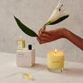 thumbnail image 5 of Aceite de perfume Maison Louis Marie No.05 Kandilli en rollo, 15 ml, 5 of 5