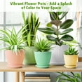 thumbnail image 3 of 5-Pack Plastic Plant Pots with Drainage Holes and Saucer Trays, 7.5/6.7/6/5/4.1 Inch Flower Pots, Multicolor Planters for Indoor & Outdoor Plants, 3 of 8