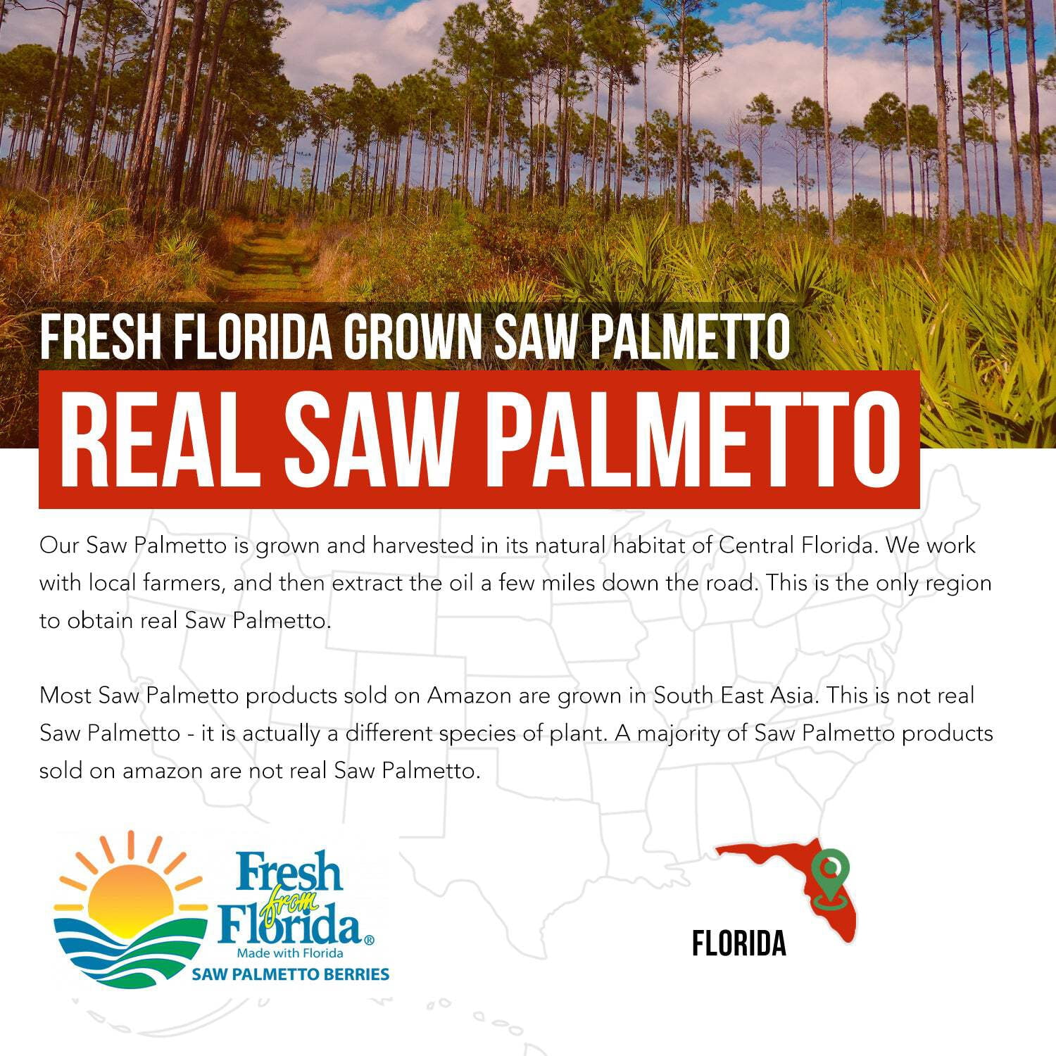 Triquetra Health Saw Palmetto Extract with Pumpkin Seed Oil