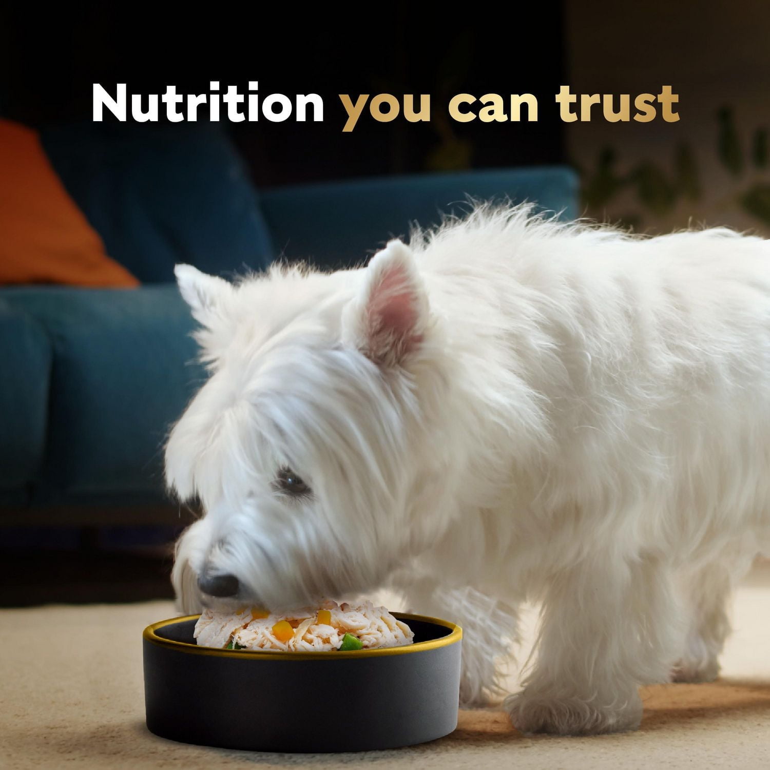 Cesar Wholesome Bowls Beef, Chicken, Carrots & Purple Potato Adult Wet Dog Food, 85g