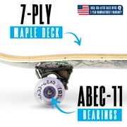 31 Complete Skateboard for Beginners & Intermediate Riders – Popsicle Deck, PU Wheels, ABEC-11 Bearings – Madd Gear