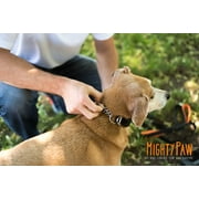 Martingale Collar, Training Dog Collar, Limited Cinch Chain Pet Gear for No Pull Dog Walking