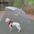 thumbnail image 4 of Pet Umbrella with Leash for Pet Dog(for Small and Medium-Sized Dogs), 4 of 4