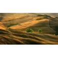 thumbnail image 2 of Browko, Krzysztof 32x20 White Modern Wood Framed Museum Art Print Titled - Fields..., 2 of 4