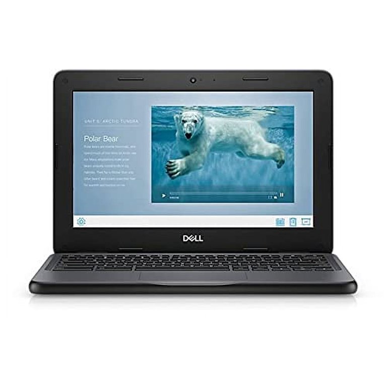 Dell 3100 11.6