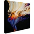 thumbnail image 2 of Trademark Fine Art Ch Studios Evoke Canvas Wall Art - 14x14, 2 of 3