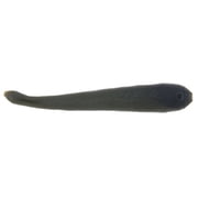 Berkley Gulp! Leech Soft Bait