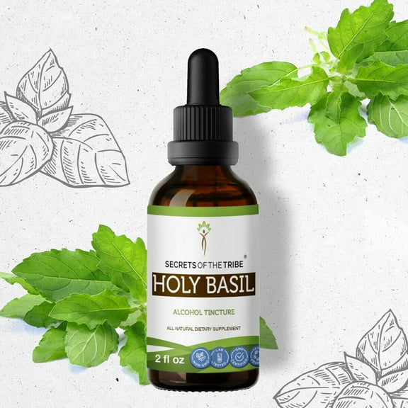 Holy Basil Tincture Alcohol Extract, Organic Holy Basil (Ocimum Tenuiflorum) Dried Herb 2 oz
