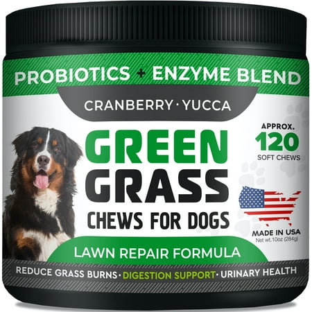 UPC: 0737787998915 | Grass Saver for Dogs – Dog Pee Lawn Repair Chews with Probiotics + Digestive Enzymes  Cranberry – Dog Urine Neutralizer for Grass Burn Spots – Made in USA – 120ct