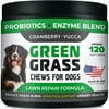 Grass Saver for Dogs - Dog Pee Lawn Repair Chews with Probiotics + Digestive Enzymes, Cranberry - Dog Urine Neutralizer for Grass Burn Spots - Made in USA - 120ct