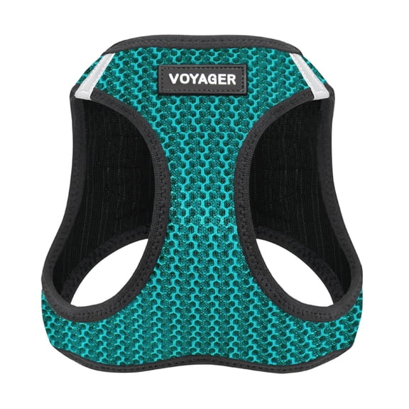 Voyager Step-in Air Dog Harness - All Weather Mesh Step in Vest Harness for Small and Medium Dogs and Cats - Harness (Turquoise 2-Tone), S (Chest: 14.5-16")