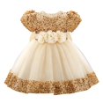 thumbnail image 2 of EnJoCho Girls Sequin Dress Puff Short Sleeve 3D Rose Waist Tulle Formal Gown For Little Girls Toddler Wedding Birthday Party Holiday Princess Dress, 2 of 5