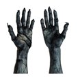 thumbnail image 2 of TIELUTT Halloween Scary Arm Static Cling Window Decals 3D Glow in the Dark Stickers Stickers 3d Ceiling Sticker Tiles Decorations Party Girls Room Decals for Wall 3d Glow in the Dark Solar System for, 2 of 8