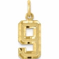 thumbnail image 1 of 10K Yellow Gold 10Ky Casted Small Diamond-Cut Number 9 Charm (20 X 7) Made In United States -Jewelry By Sweet Pea, 1 of 5