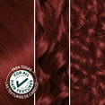thumbnail image 3 of Garnier Nutrisse Nourishing Hair Color Creme, 066 True Red Pomegranate, 3 of 10