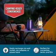 مضرب Flowtron Bug Zapper مع ضوء الأشعة فوق البنفسجية، قاتل حشرات محمول قابل لإعادة الشحن، تغطية 2100 قدم مربع