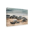 thumbnail image 2 of Trademark Fine Art 'Lullaby of the Sea' Canvas Art by Pierre Leclerc, 2 of 3