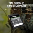 thumbnail image 3 of Memoria flash para cámara Trail PNY de 32 GB Elite Class 10 U1 V10, 3 of 8