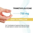 thumbnail image 4 of Puregen Labs TMG 750 mg – Trimethylglycine Supplement – Encourages Healthy Homocysteine Levels, Non-GMO, NO Gluten and Dairy - Made in USA - 60 Vegetarian Capsules - 1PK, 4 of 7