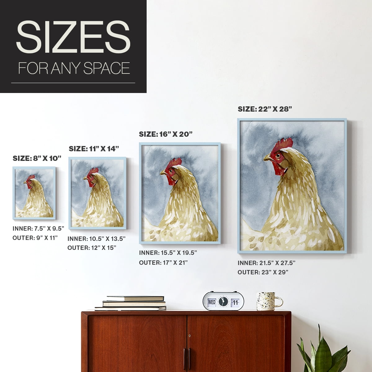 Chicken Portrait I Framed Print in Blue Solid Wood Framed Print No Nail Hanging