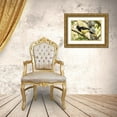 thumbnail image 3 of Jaynes Gallery 24x17 Gold Ornate Wood Framed with Double Matting Museum Art Print Titled - Argentina-Iguazu Falls National Park Plush-crested jay in tree, 3 of 4