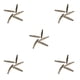 thumbnail image 3 of Riwesomey 5 Pieces Garden Pruner Spring Replacement Springs Shears Component Replace Labor-saving Gardening Pruning Accessory Volute Type2, 3 of 6