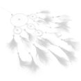 thumbnail image 2 of Dream Catcher Lovely Wall Hanging Dream Catcher Bedroom Plume Dream Catcher, 2 of 3