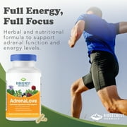 RidgeCrest Herbals Adrenal Fatigue Fighter, Stress and Energy Support Supplement with Ashwagandha, L-Theanine, Ginseng, Schisandra, Taurine, Holy Basil, B Vitamins (60 Vegan Caps, 30 Serv)