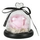thumbnail image 1 of Lámpara de noche con cubierta de vidrio simulado rosa, regalo perfecto para el día de San Valentín, lámpara romántica con LED en forma de rosa, 1 of 8